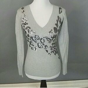 Express Light Gray Sweater with Silver Sequins
